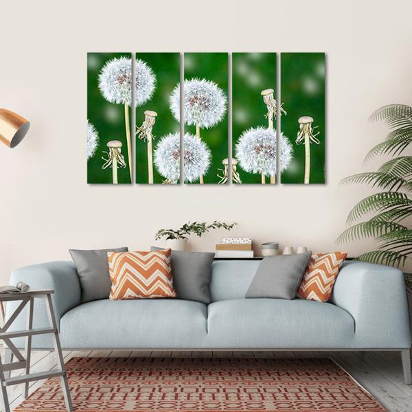 Fluffy Dandelion Flowers Canvas Wall Art-5 Horizontal-Gallery Wrap-22" x 12"-Tiaracle