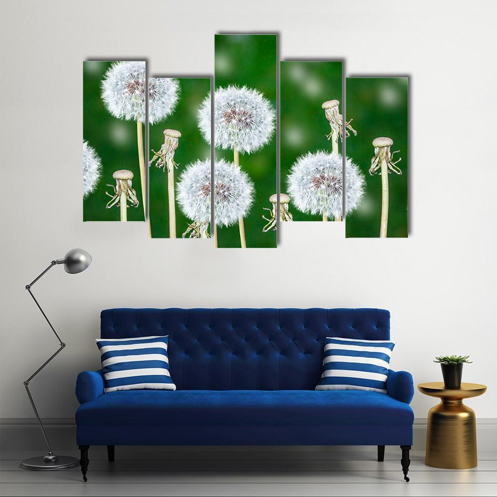 Fluffy Dandelion Flowers Canvas Wall Art-5 Pop-Gallery Wrap-47" x 32"-Tiaracle