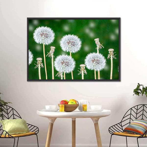Fluffy Dandelion Flowers Canvas Wall Art-3 Horizontal-Gallery Wrap-25" x 16"-Tiaracle