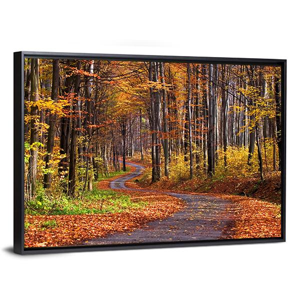 Forest In Autumn Canvas Wall Art-3 Horizontal-Gallery Wrap-25" x 16"-Tiaracle