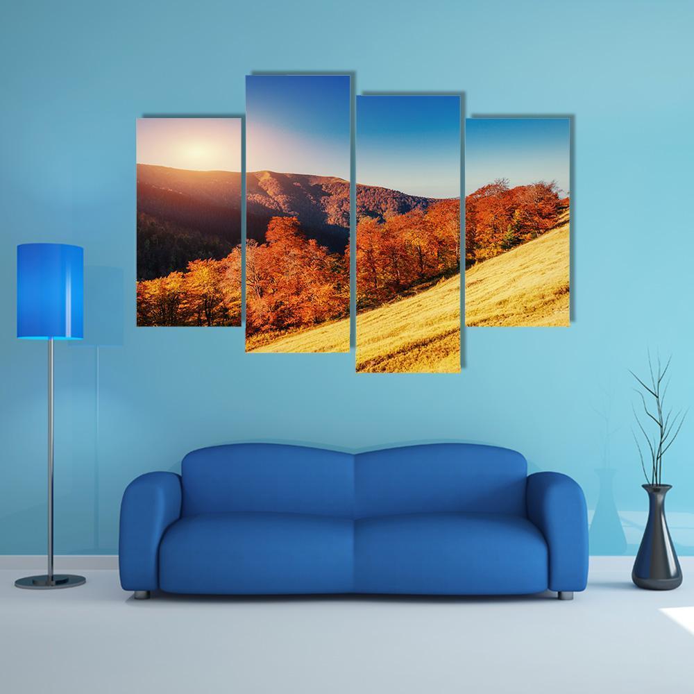 Forest Road In Autumn Canvas Wall Art-4 Pop-Gallery Wrap-50" x 32"-Tiaracle