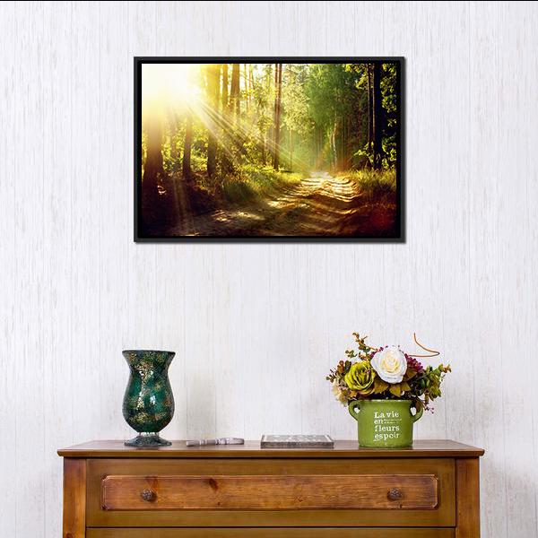 Forest With Sun Rays Canvas Wall Art-1 Piece-Floating Frame-24" x 16"-Tiaracle