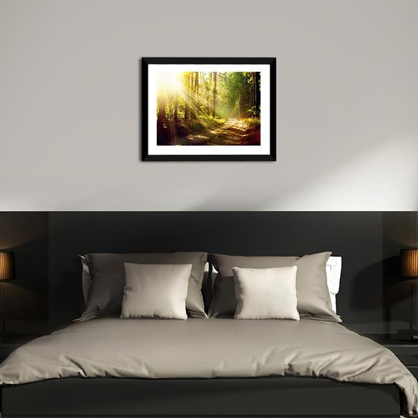 Forest With Sun Rays Panoramic Canvas Wall Art-1 Piece-36" x 12"-Tiaracle