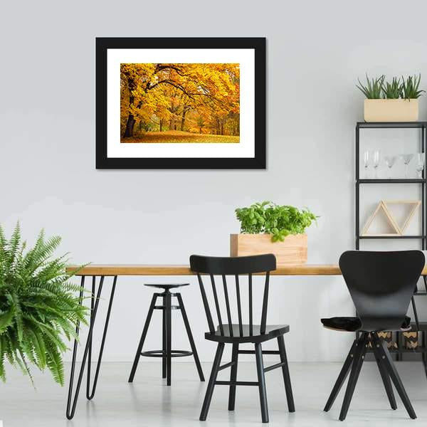 Gold Trees In Park Canvas Wall Art-3 Horizontal-Gallery Wrap-25" x 16"-Tiaracle