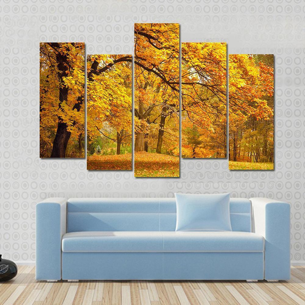 Gold Trees In Park Canvas Wall Art-5 Pop-Gallery Wrap-47" x 32"-Tiaracle