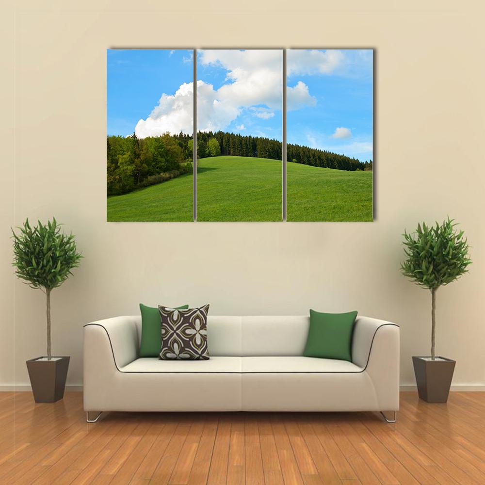 Green Field & Forest Canvas Wall Art-3 Horizontal-Gallery Wrap-37" x 24"-Tiaracle