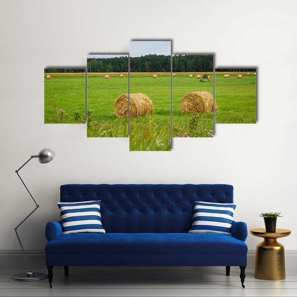 Green Meadow With Hay Rolls Canvas Wall Art-5 Star-Gallery Wrap-62" x 32"-Tiaracle
