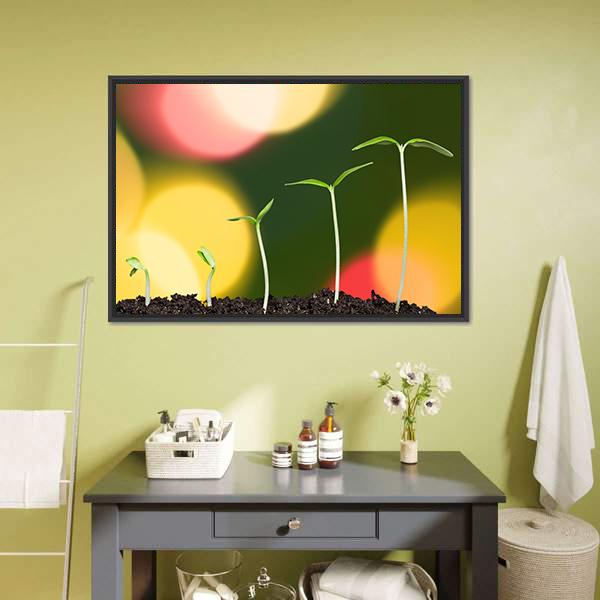 Green Plant On Bokeh Canvas Wall Art-1 Piece-Floating Frame-24" x 16"-Tiaracle