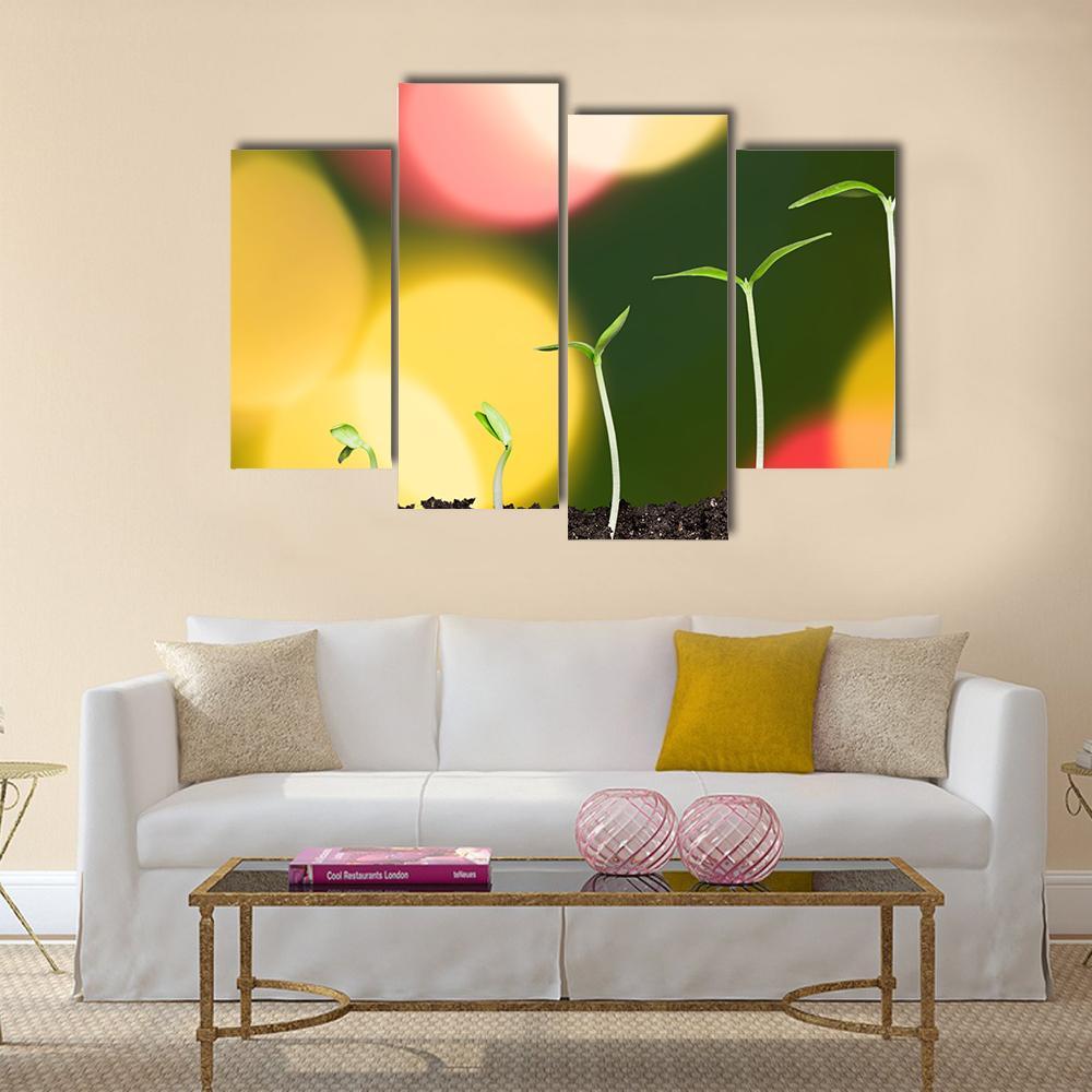 Green Plant On Bokeh Canvas Wall Art-4 Pop-Gallery Wrap-50" x 32"-Tiaracle
