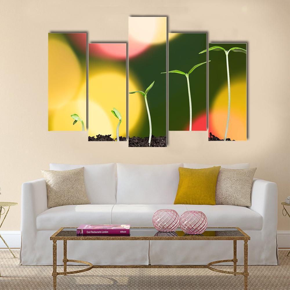 Green Plant On Bokeh Canvas Wall Art-5 Pop-Gallery Wrap-47" x 32"-Tiaracle
