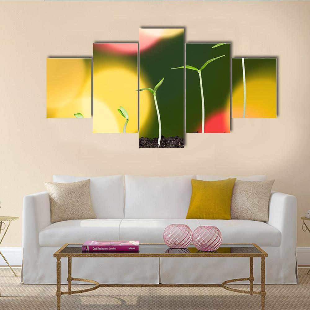 Green Plant On Bokeh Canvas Wall Art-5 Star-Gallery Wrap-62" x 32"-Tiaracle