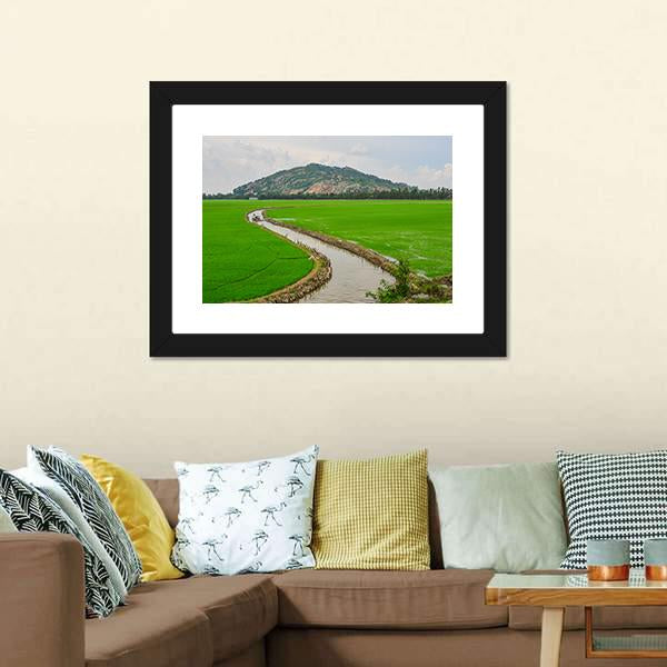 Green Rice Field Vietnams Canvas Wall Art-3 Horizontal-Gallery Wrap-25" x 16"-Tiaracle