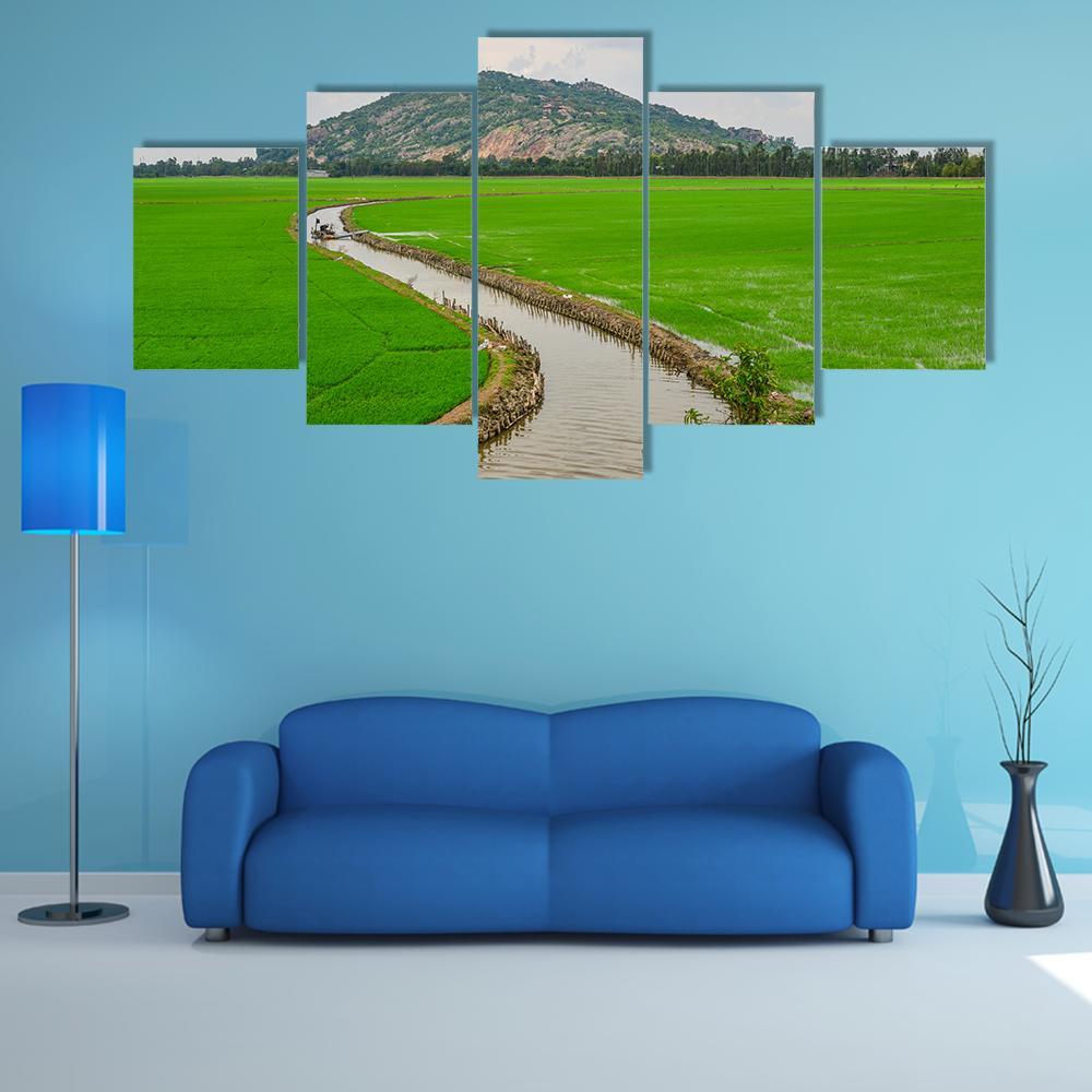 Green Rice Field Vietnams Canvas Wall Art-5 Star-Gallery Wrap-62" x 32"-Tiaracle