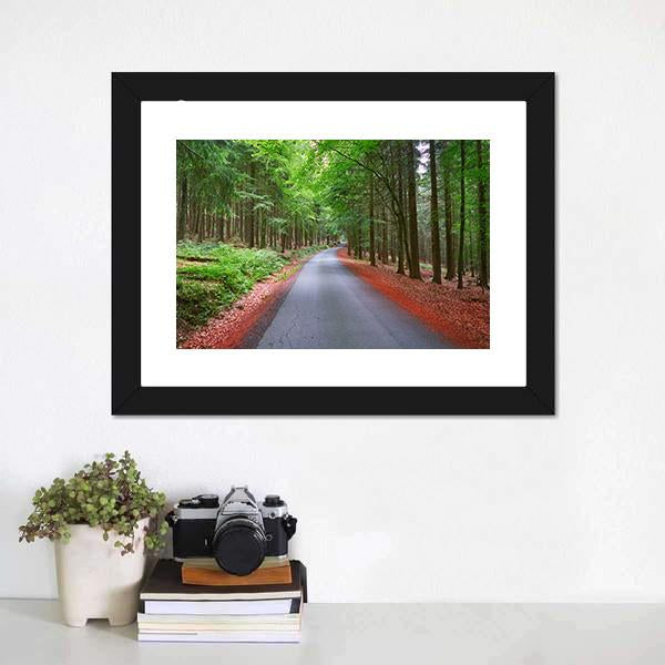 Harz Magic Mountains Forest Canvas Wall Art-1 Piece-Framed Print-20" x 16"-Tiaracle