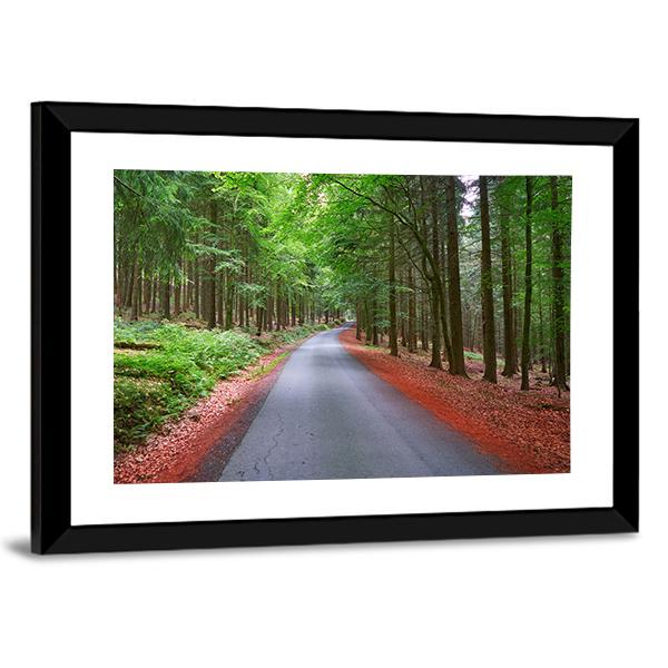Harz Magic Mountains Forest Canvas Wall Art-5 Horizontal-Gallery Wrap-22" x 12"-Tiaracle
