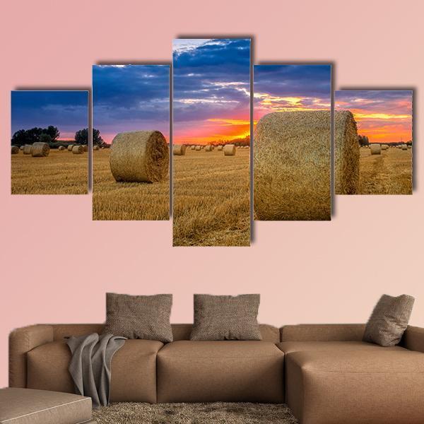 Hay Bale In Field Canvas Wall Art-5 Star-Gallery Wrap-62" x 32"-Tiaracle