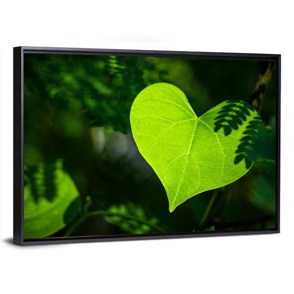 Heart Shape Leaf Canvas Wall Art-5 Horizontal-Gallery Wrap-22" x 12"-Tiaracle