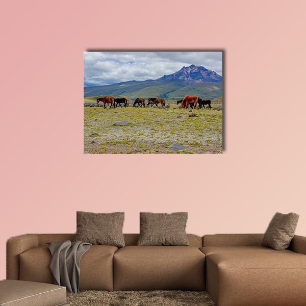 Herd Of Wild Horses Canvas Wall Art-1 Piece-Gallery Wrap-48" x 32"-Tiaracle