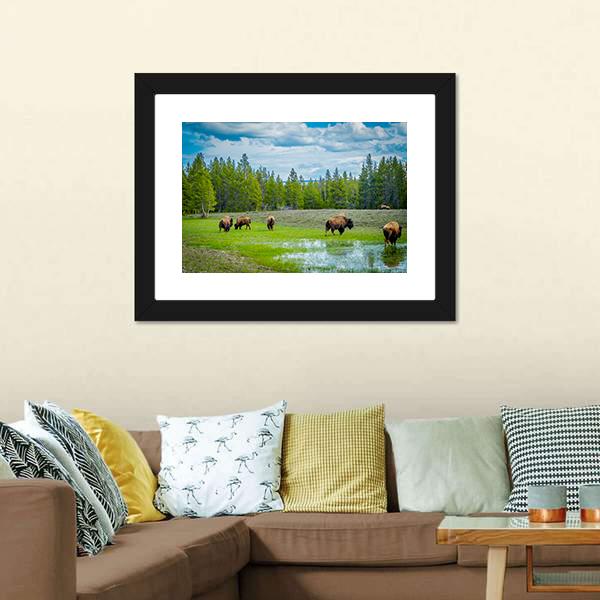 Herd Of Bison Canvas Wall Art-5 Horizontal-Gallery Wrap-22" x 12"-Tiaracle