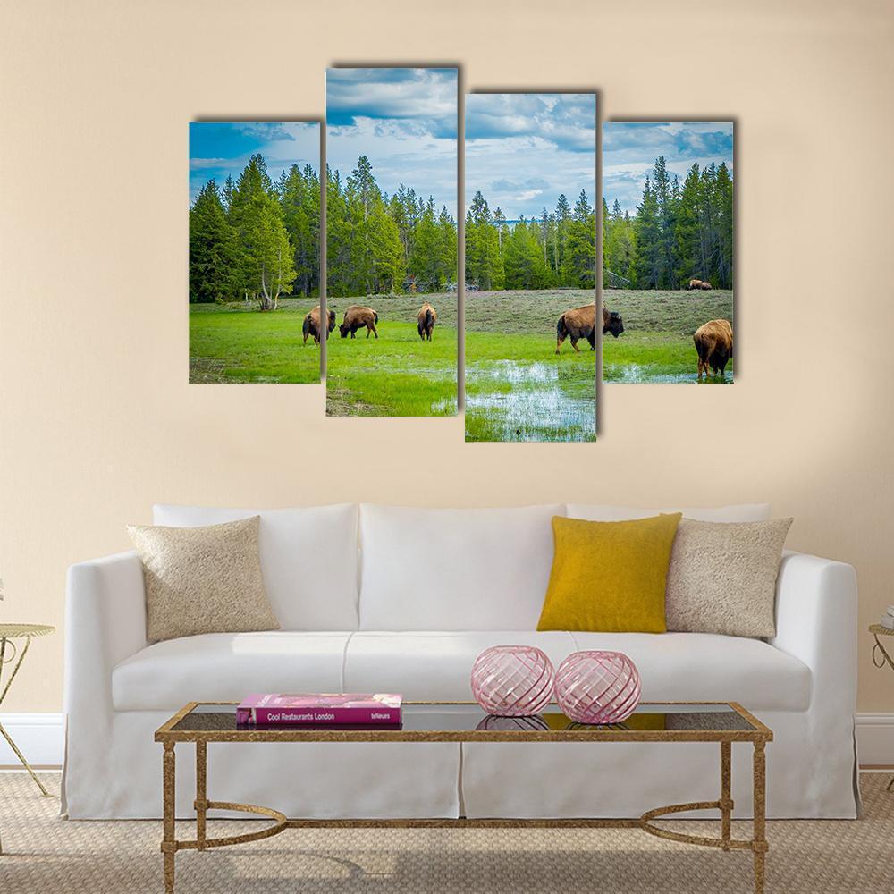 Herd Of Bison Canvas Wall Art-4 Pop-Gallery Wrap-50" x 32"-Tiaracle