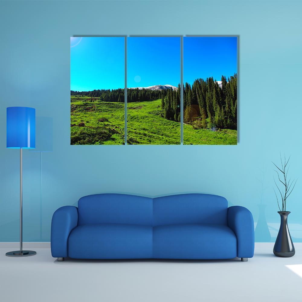 High Mountains & Green Meadows Canvas Wall Art-3 Horizontal-Gallery Wrap-37" x 24"-Tiaracle