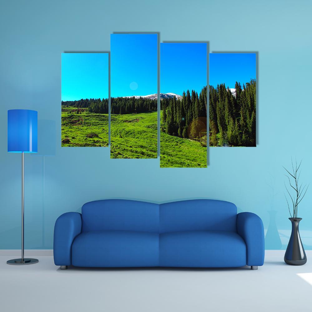 High Mountains & Green Meadows Canvas Wall Art-4 Pop-Gallery Wrap-50" x 32"-Tiaracle