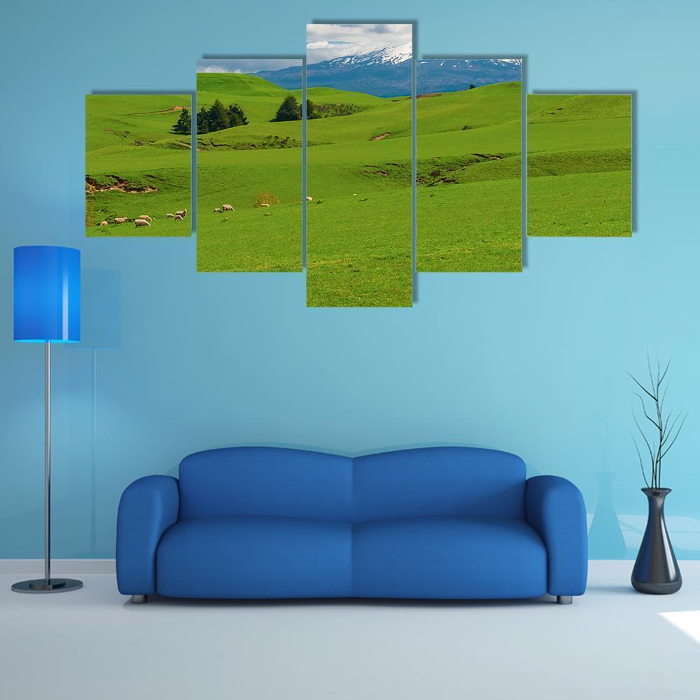 Hill covered By Green Grass Canvas Wall Art-5 Star-Gallery Wrap-62" x 32"-Tiaracle