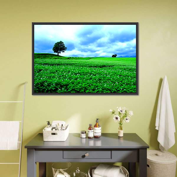 Hill Of Biei in Hokkaido Canvas Wall Art-1 Piece-Floating Frame-24" x 16"-Tiaracle