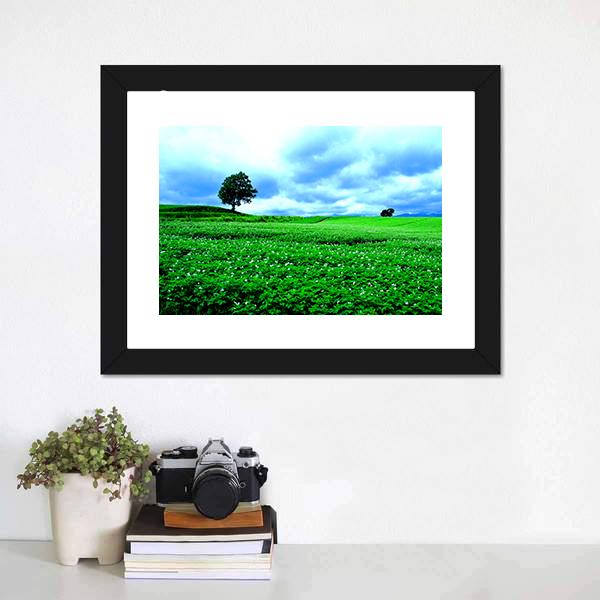 Hill Of Biei in Hokkaido Canvas Wall Art-1 Piece-Framed Print-20" x 16"-Tiaracle