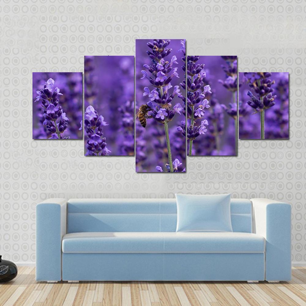 Honey Bee On Lavender Flowers Canvas Wall Art-5 Star-Gallery Wrap-62" x 32"-Tiaracle