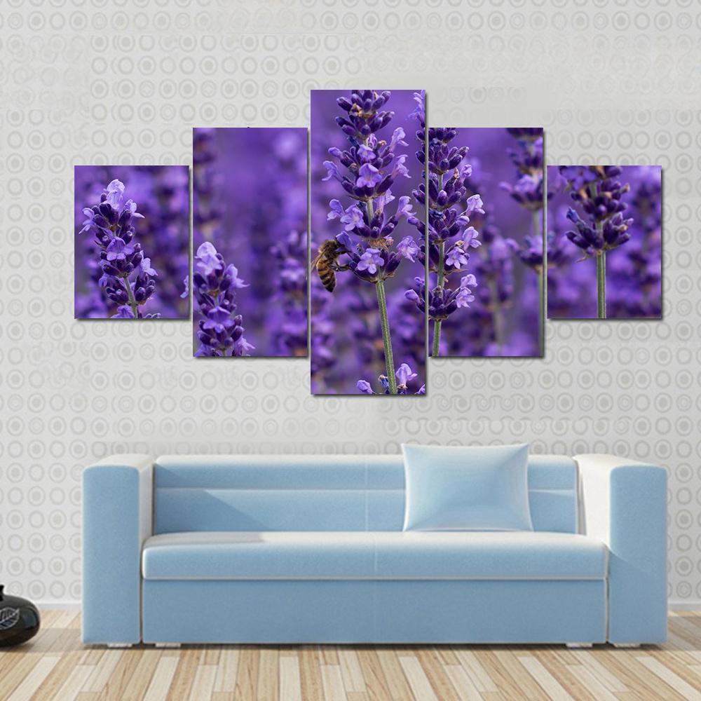 Honey Bee On Lavender Flowers Canvas Wall Art-5 Pop-Gallery Wrap-47" x 32"-Tiaracle