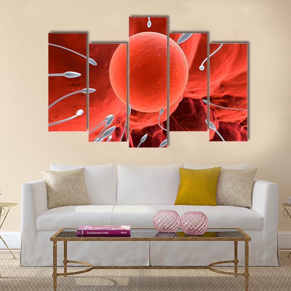 Human Egg & Sperm Canvas Wall Art-5 Pop-Gallery Wrap-47" x 32"-Tiaracle