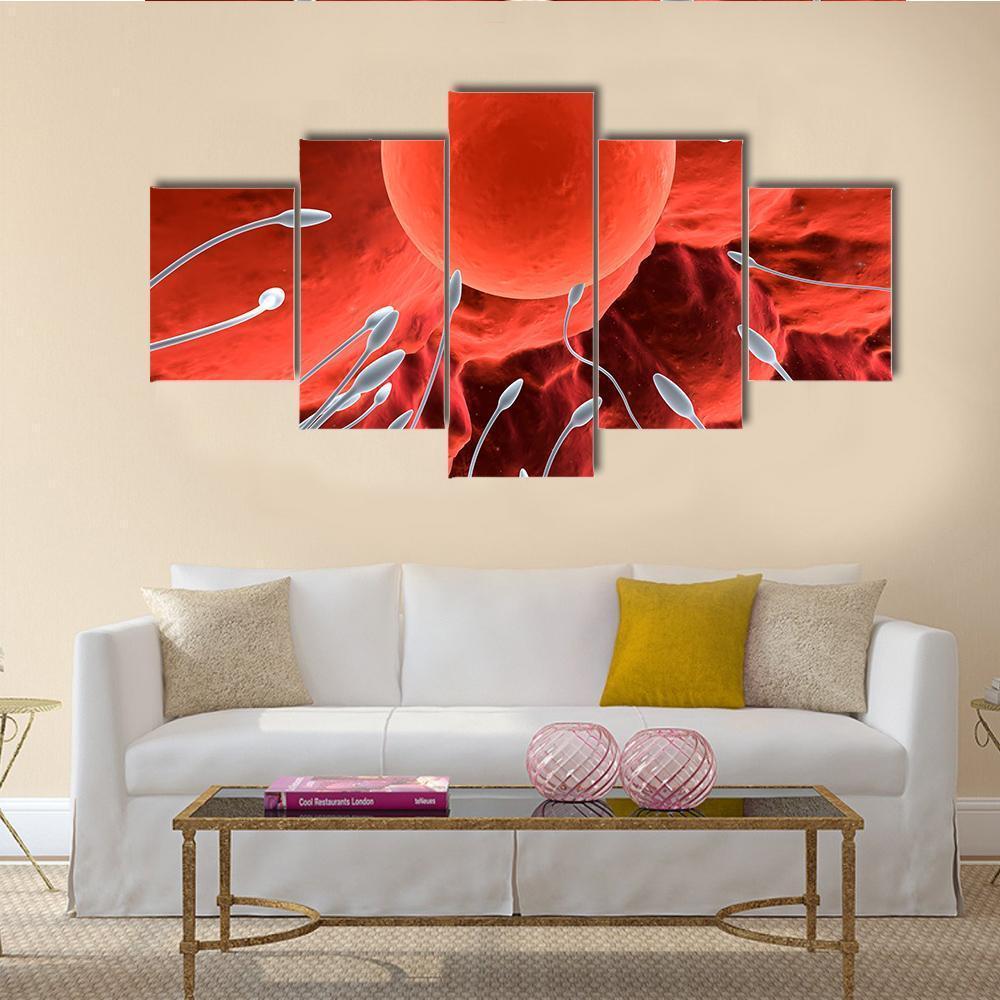 Human Egg & Sperm Canvas Wall Art-5 Star-Gallery Wrap-62" x 32"-Tiaracle