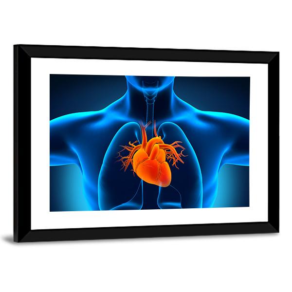 Human Heart Anatomy Canvas Wall Art-3 Horizontal-Gallery Wrap-25" x 16"-Tiaracle