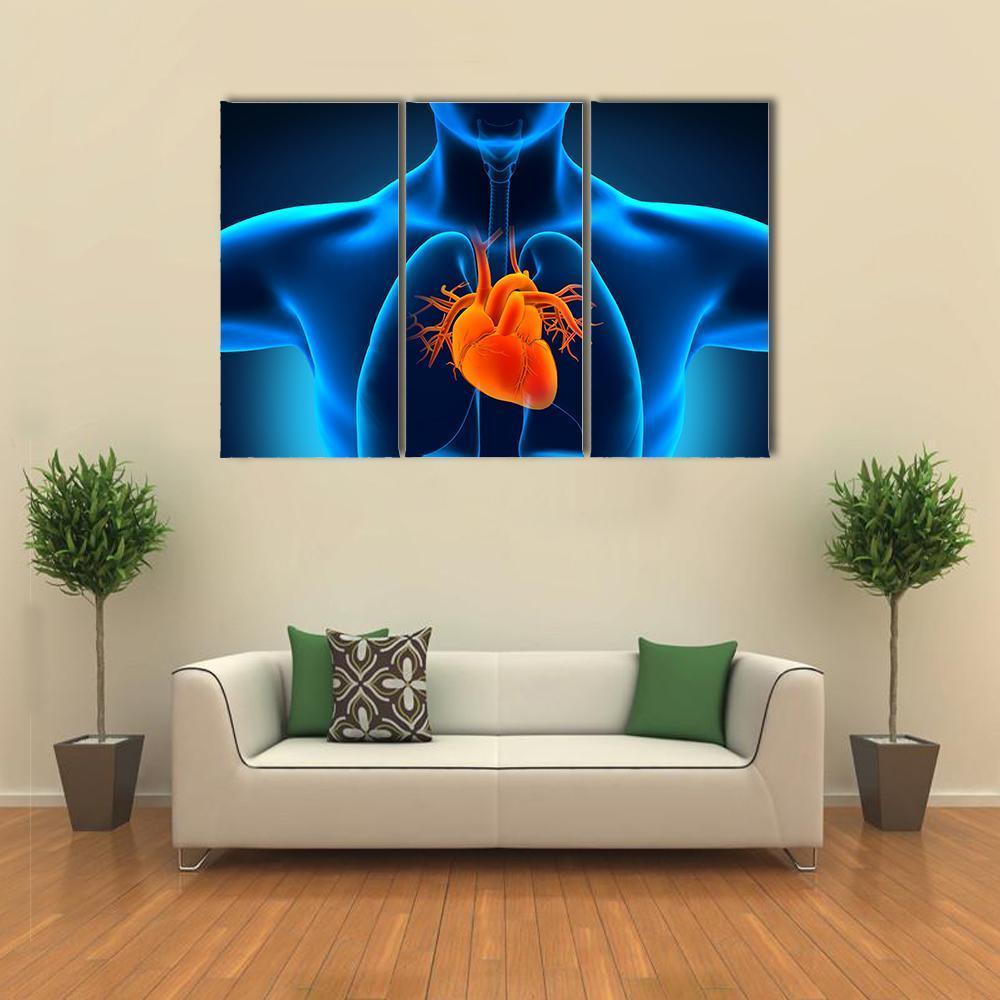 Human Heart Anatomy Canvas Wall Art-3 Horizontal-Gallery Wrap-37" x 24"-Tiaracle