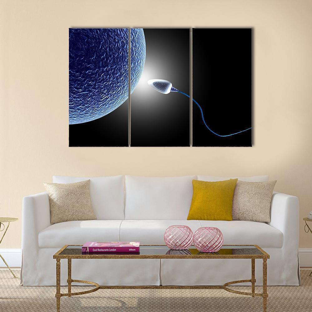 Human Sperm & Egg Life Canvas Wall Art-3 Horizontal-Gallery Wrap-37" x 24"-Tiaracle