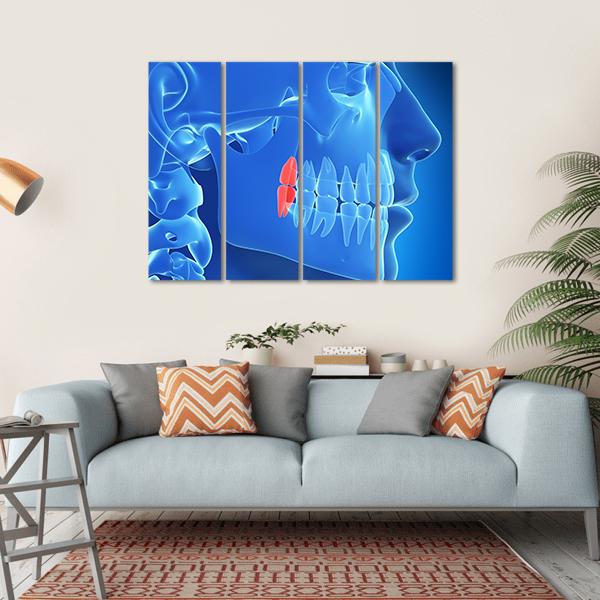Human Teeth Illustration Canvas Wall Art-4 Horizontal-Gallery Wrap-34" x 24"-Tiaracle