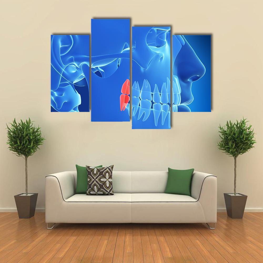 Human Teeth Illustration Canvas Wall Art-4 Pop-Gallery Wrap-50" x 32"-Tiaracle
