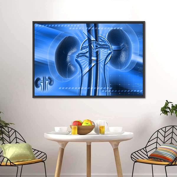 Illustration Of Kidney Canvas Wall Art-3 Horizontal-Gallery Wrap-25" x 16"-Tiaracle