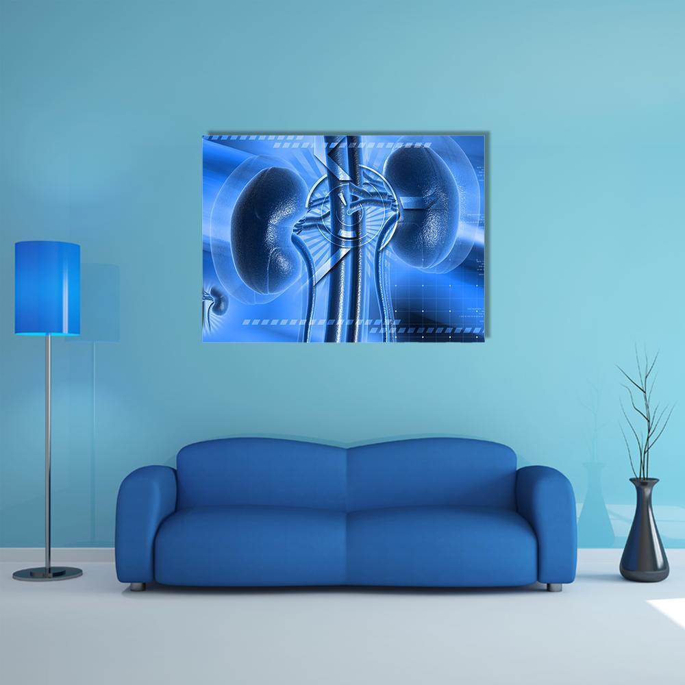 Illustration Of Kidney Canvas Wall Art-1 Piece-Gallery Wrap-48" x 32"-Tiaracle