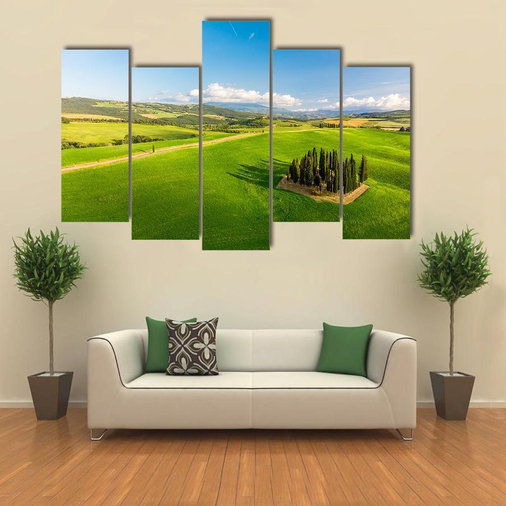 Italian Cypresses Tuscany Canvas Wall Art-5 Pop-Gallery Wrap-47" x 32"-Tiaracle