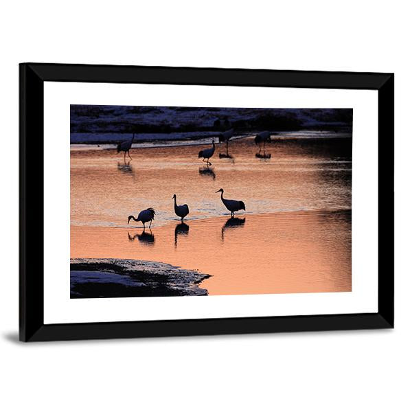 Japanese Crane Canvas Wall Art-3 Horizontal-Gallery Wrap-25" x 16"-Tiaracle
