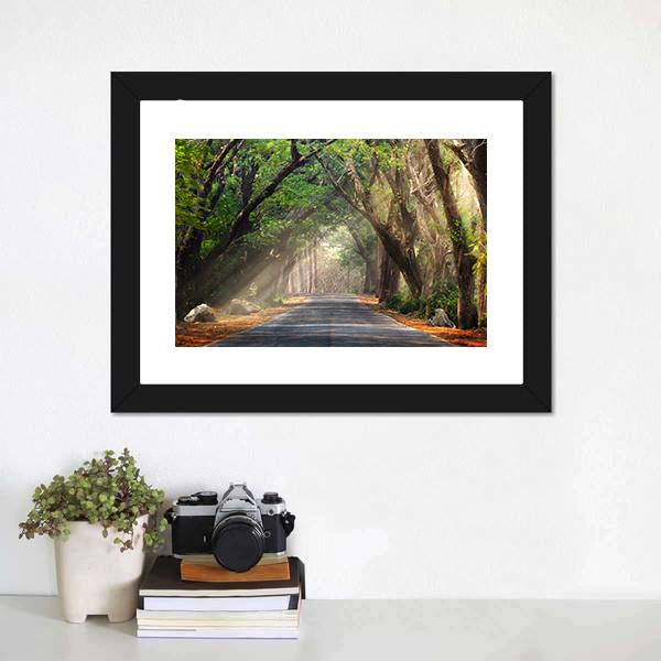 Journey Through Forest Canvas Wall Art-1 Piece-Framed Print-20" x 16"-Tiaracle