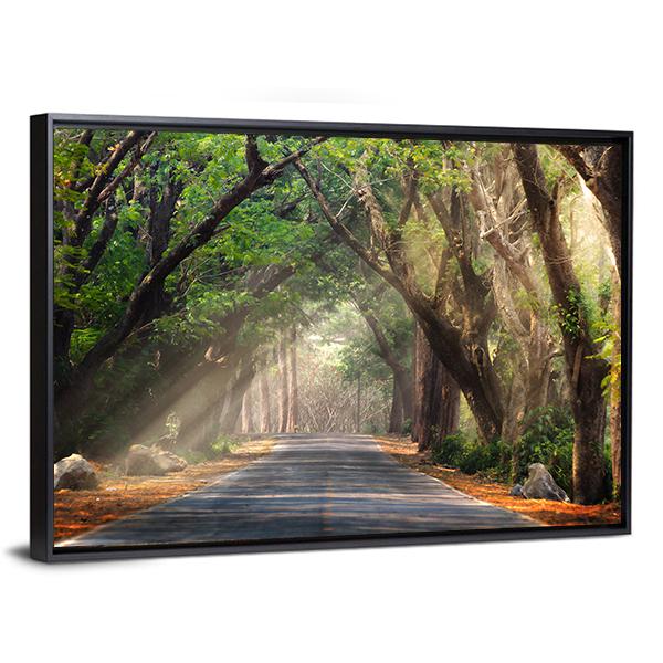 Journey Through Forest Canvas Wall Art-3 Horizontal-Gallery Wrap-25" x 16"-Tiaracle