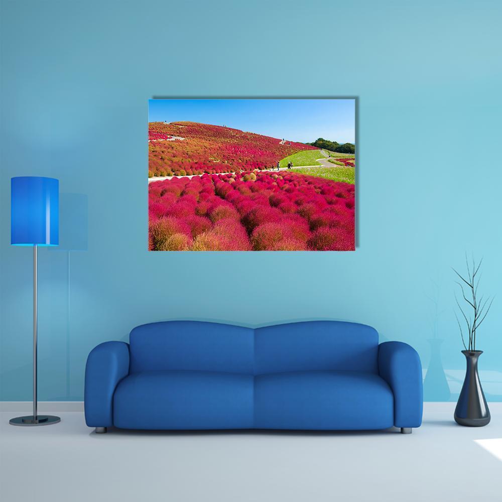 Kochias Hill In Autumn Canvas Wall Art-1 Piece-Gallery Wrap-48" x 32"-Tiaracle