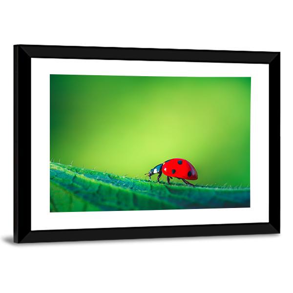 Ladybug On Leaf Canvas Wall Art-5 Horizontal-Gallery Wrap-22" x 12"-Tiaracle