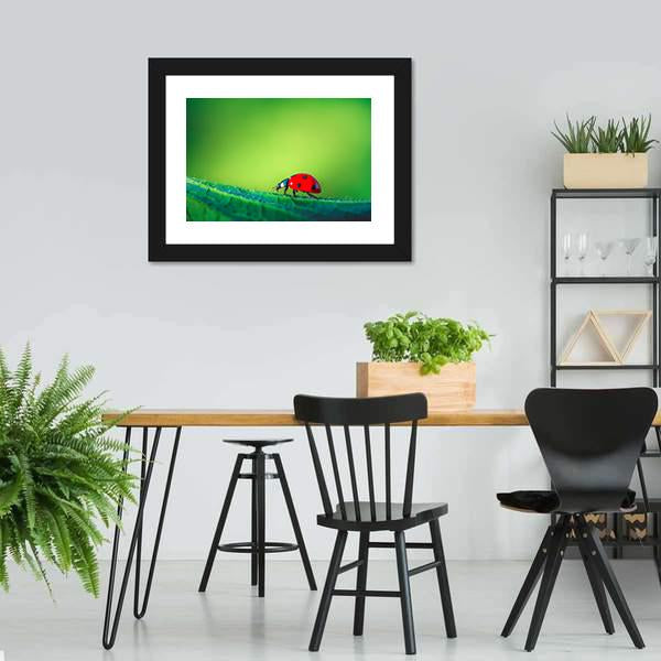 Ladybug On Leaf Canvas Wall Art-3 Horizontal-Gallery Wrap-25" x 16"-Tiaracle