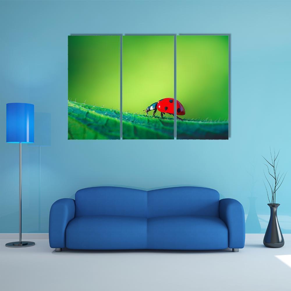 Ladybug On Leaf Canvas Wall Art-3 Horizontal-Gallery Wrap-37" x 24"-Tiaracle