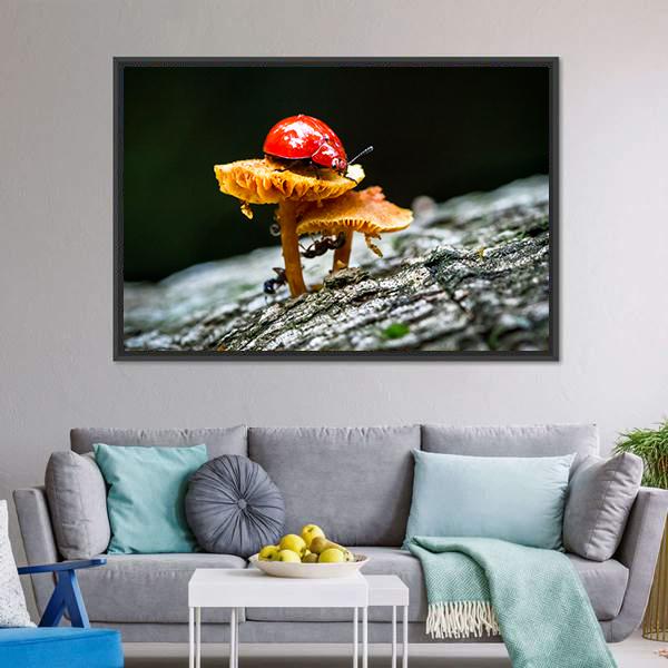 Ladybug On Mushroom Canvas Wall Art-3 Horizontal-Gallery Wrap-25" x 16"-Tiaracle
