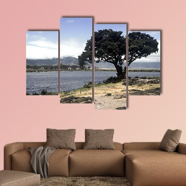 Lake & Tree In Ngorongoro Canvas Wall Art-4 Pop-Gallery Wrap-50" x 32"-Tiaracle